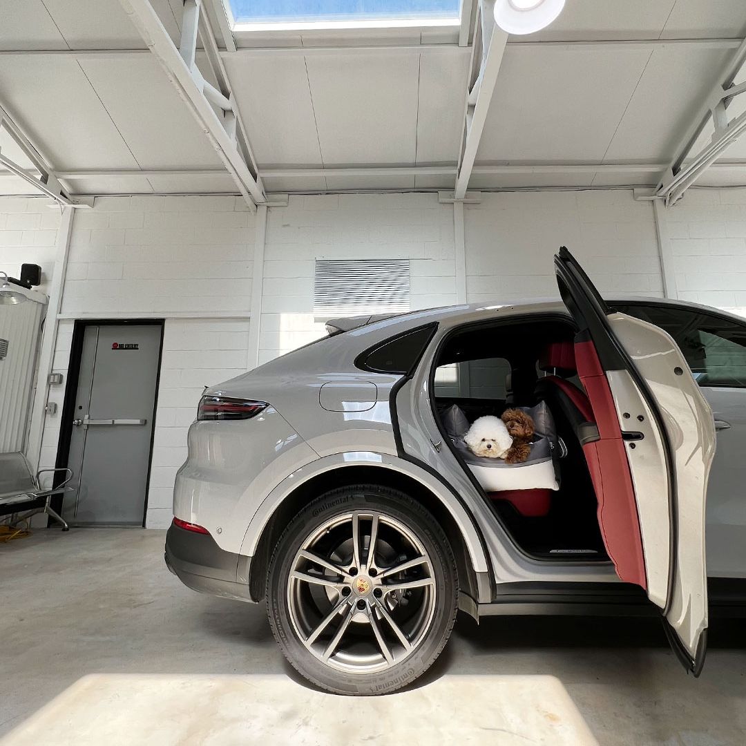 Luxury Dog Car Seat Cover - 11th Edition by Monchouchou