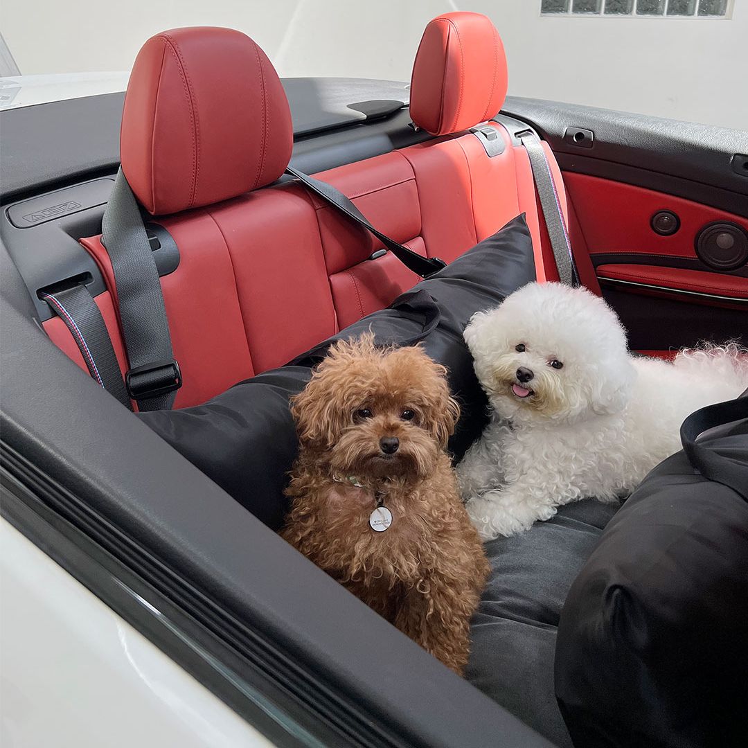 Luxury Dog Car Seat Cover - 11th Edition by Monchouchou