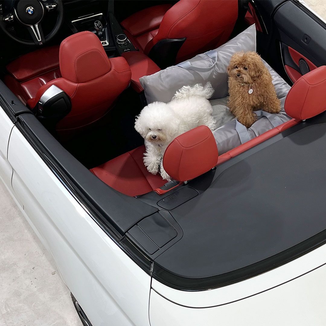 Luxury Dog Car Seat Cover - 11th Edition by Monchouchou