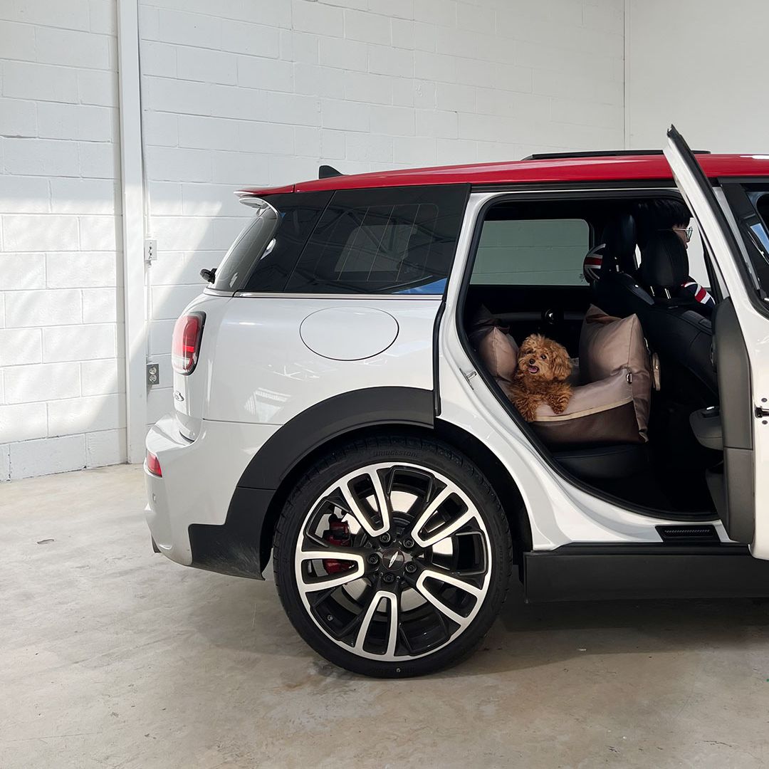 Luxury Dog Car Seat Cover - 11th Edition by Monchouchou