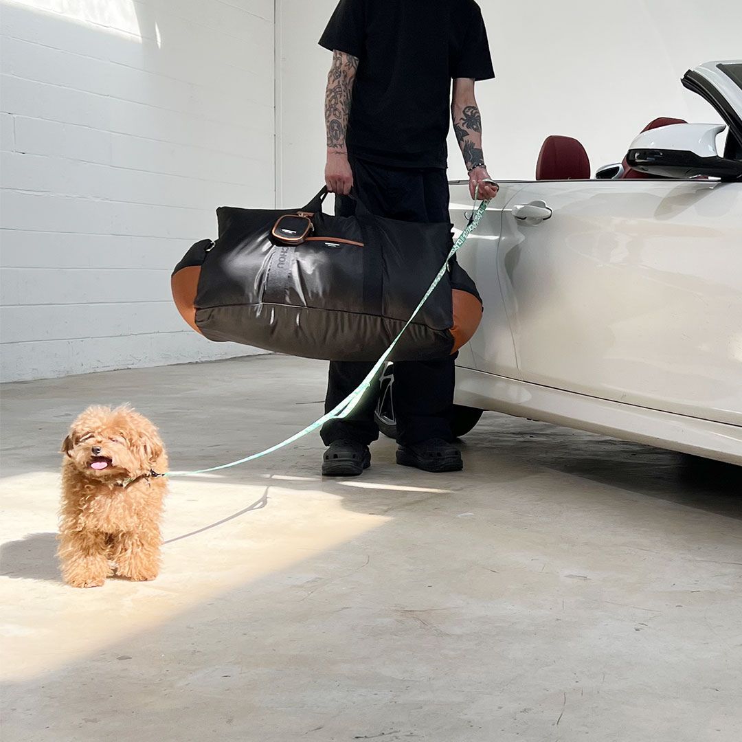 Luxury Dog Car Seat Cover - 11th Edition by Monchouchou