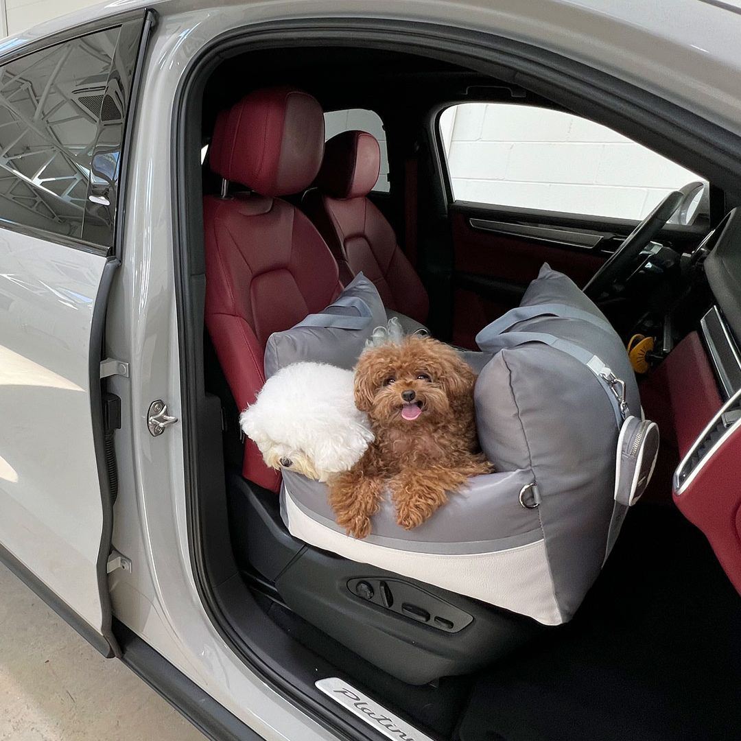 Luxury Dog Car Seat Cover - 11th Edition by Monchouchou