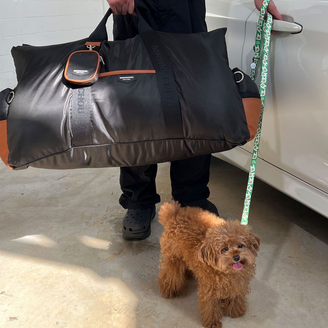 Luxury Dog Car Seat Cover - 11th Edition by Monchouchou