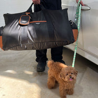 Luxury Dog Car Seat Cover - 11th Edition by Monchouchou