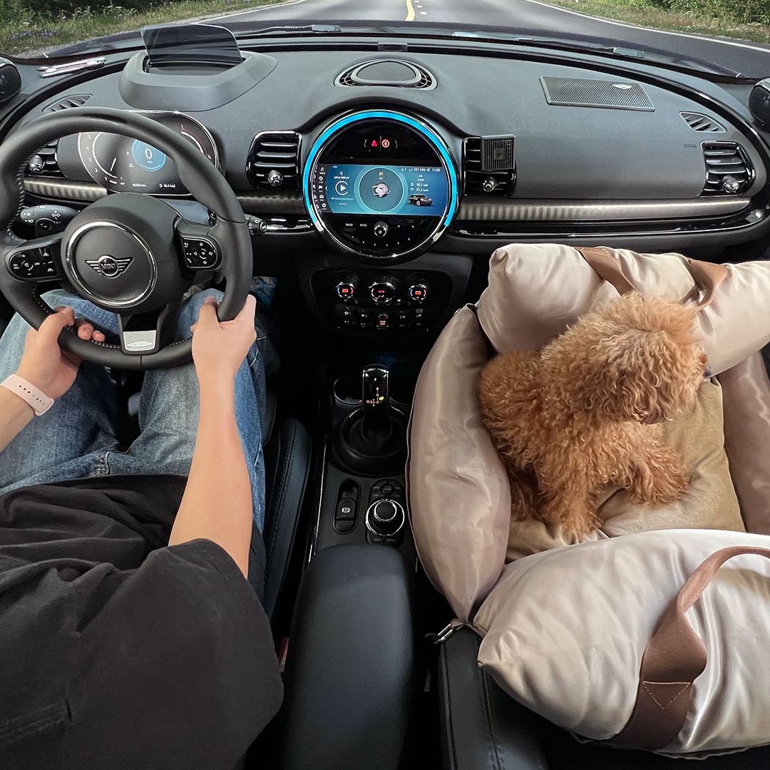 Luxury Dog Car Seat Cover - 11th Edition by Monchouchou