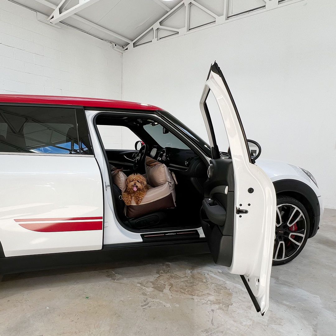 Luxury Dog Car Seat Cover - 11th Edition by Monchouchou