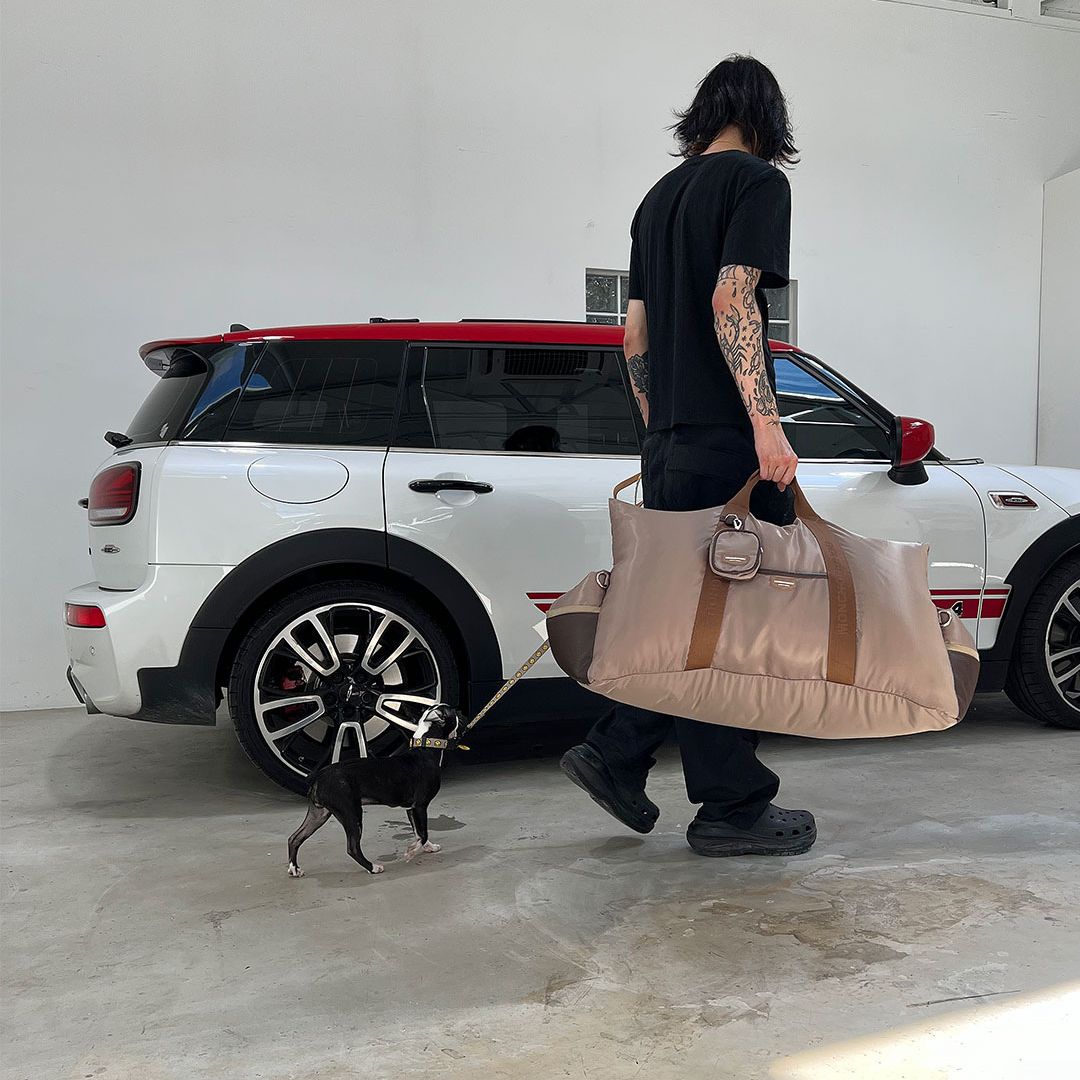 Luxury Dog Car Seat Cover - 11th Edition by Monchouchou