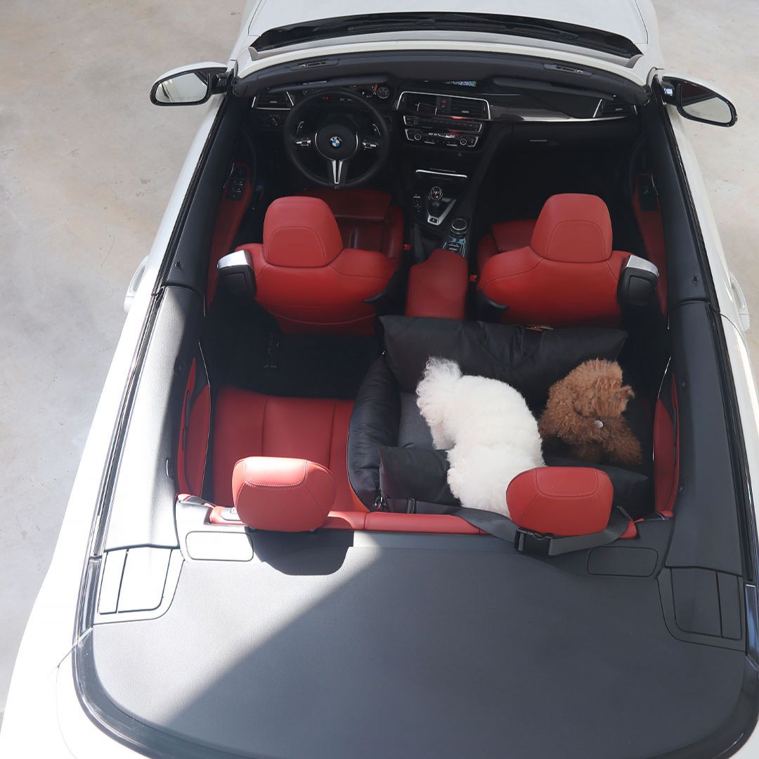 Luxury Dog Car Seat Cover - 11th Edition by Monchouchou
