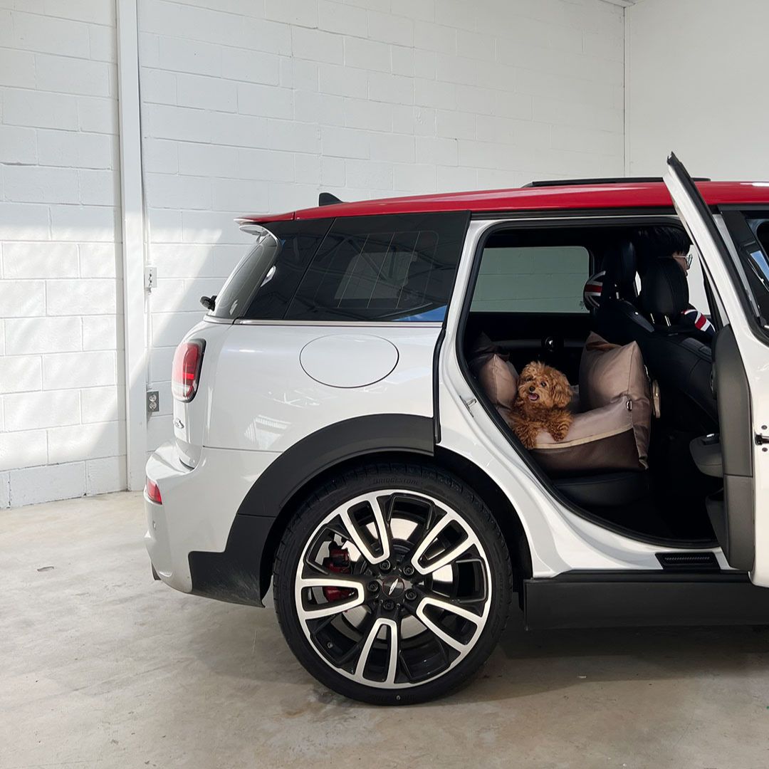 Luxury Dog Car Seat Cover - 11th Edition by Monchouchou