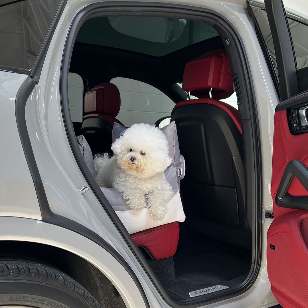 Luxury Dog Car Seat Cover - 11th Edition by Monchouchou